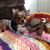 Edie Sicher's profile image