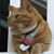 Daniel Spraggs's profile image