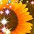 Kathy N Rodney Myers's profile image
