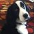 Margo Yearsley's profile image