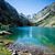 Susan Wirth-White's profile image
