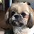 Gail Hesselholt's profile image