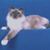 Betty Sleep's profile image