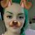 Fawn Rose's profile image
