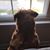 Tammi Elizabeth's profile image