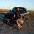 Ziggy Wood's profile image