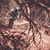Benjamin Geyer's profile image