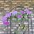 Kathy Barr's profile image