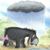 Jeff Corman's profile image