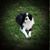 Theresa Badger Hill's profile image