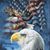 Paul Lucarelli's profile image