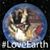 Melissa Breedlove's profile image
