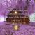 Patricia Overbay Tiernan's profile image