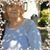 Diane Mott's profile image