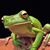 Brian Carmack's profile image