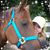 Linda Lorbiecki's profile image