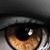 Tammy Nious's profile image