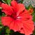 Paula Whitley's profile image