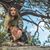 Devin Lucretia Yannie's profile image