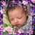 Michael Maynard's profile image