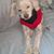 Brenda Donaghy- Saxton's profile image