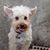 Kay Greer's profile image