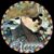 Michael Shoemaker's profile image