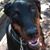 Eve Nelson-Barry's profile image