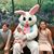 Amanda Rockwell's profile image