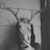 Becky Ann Schrader's profile image