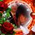 Scott Williamson's profile image