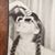 Gigi Sherrell Norwood's profile image