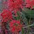 Barbara J Hipps's profile image