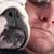 Richard Sears's profile image