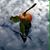 Teri Conforti's profile image