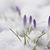 Laurie Smith Prud'homme's profile image