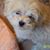 Libby Stinson's profile image