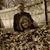 Deb Coulter's profile image
