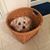 Diane Young's profile image