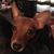 Emily Haas's profile image