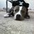 Adrian Galvan's profile image