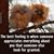 Cyndee Gummo's profile image