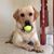Trudi Darlene's profile image
