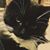 Carol A. Bourns's profile image