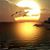 Nancy Patricia Garcia's profile image