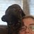 Lisa Marie Miller's profile image