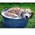 Arly Kovelesky's profile image