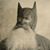 Mike Lauk's profile image