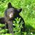 John Fiedler's profile image
