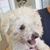 Joy Manley's profile image